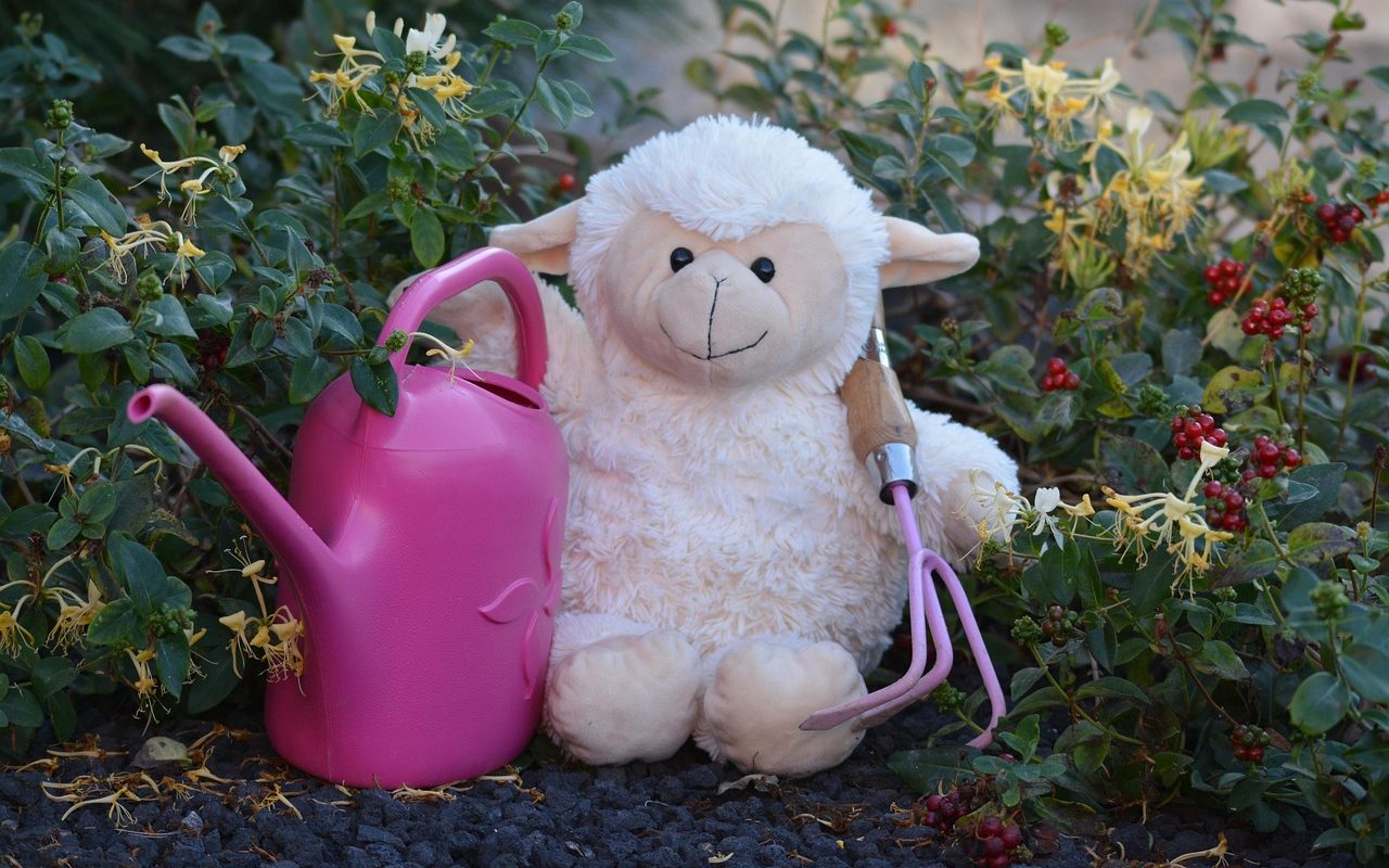 Vita Nova Sensory Garden banner