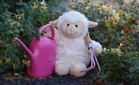 Vita Nova Sensory Garden banner